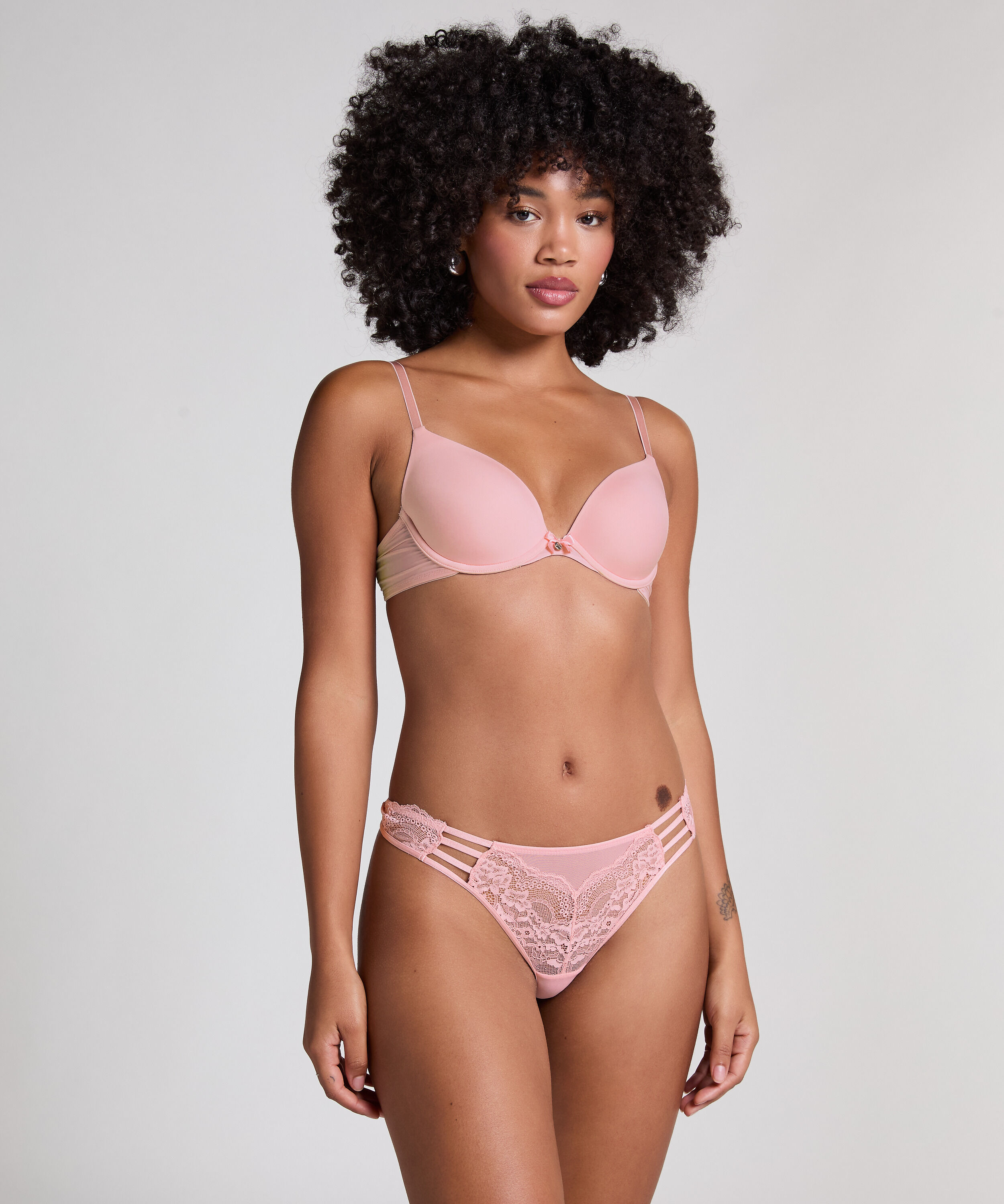 String Briar, Rosa String Briar, Rosa